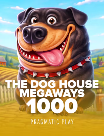Casino and sportsbook play guide visual